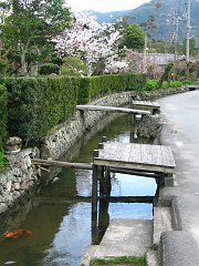 neighbourhood street